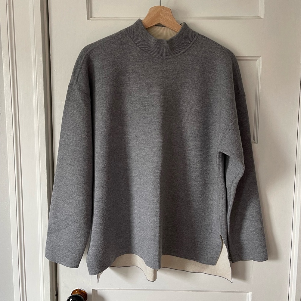 Everlane Wool Mockneck boxy sweater
